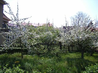 Appartamento per vacanze Arnstadt Registrazione all'aperto 5