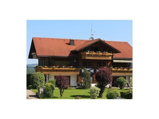 Sommer im Gipfelstürmer - EG rechts