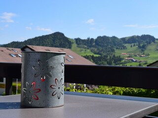 Hündleblick im Sommer