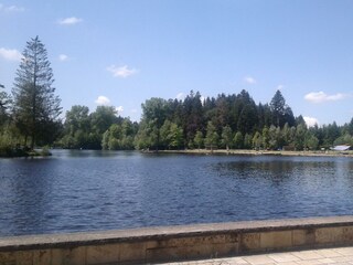 Waldsee bei Lindenberg
