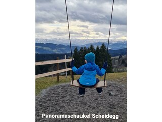 Panoramaschaukel Scheidegg