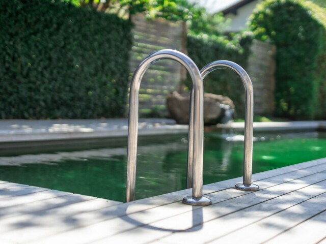 Naturpool