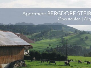 Apartment Bergdorf Steibis