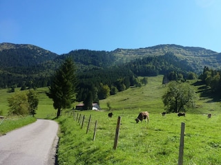 im Hintergrung der Hochgrat