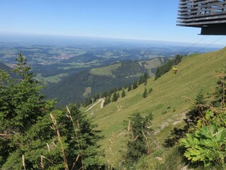 Die kl. Gondeln zum Hochgrat