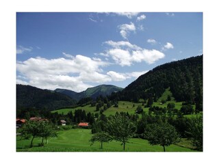 Golfplatz Blick z.Hochgrat