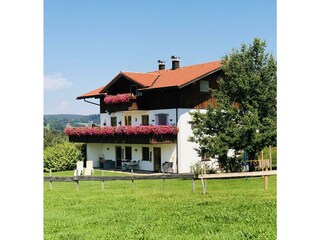 Seitliche Ansicht