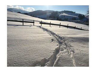 Fewo „Auszeit“ Direkter Zugang zur Langlaufloipe
