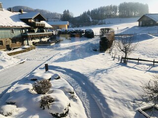 Alle 3 Ferienwohnungen liegen dicht beieinander.