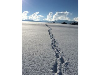 Ich bin dann mal weg u. mache Urlaub bei Fam. Heim