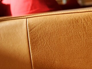 Detail_Sofa (Anilinleder)