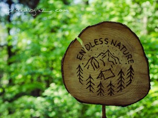 Impression Wald