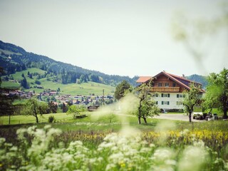 Frühlingswiese bei Buchenegg