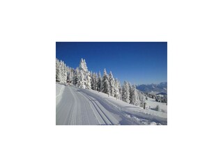 Langlaufloipe-Scheidegg1_bearb_reference