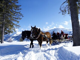 Pferdeschlittenfahrt im Winter
