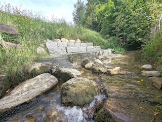 PXL_20240618_135546318