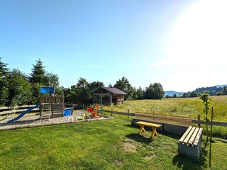 PXL_20240619_063853709