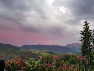Ausblick auf den Hochgrat