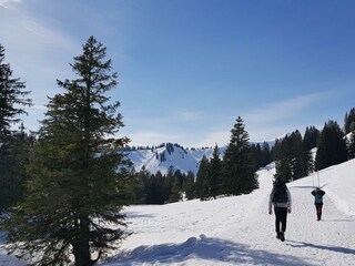 Winterwonderland