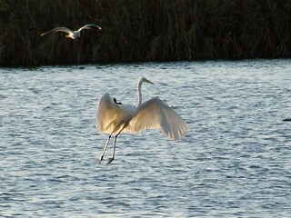 Casa per le vacanze Valledoria Ambiente 18