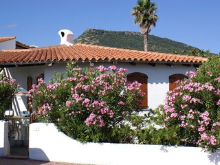 Casa per le vacanze Valledoria Registrazione all'aperto 5
