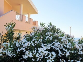 Apartamento de vacaciones Valledoria Grabación al aire libre 4