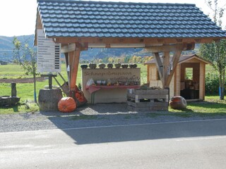 Apartamento de vacaciones Biberach Entorno 35