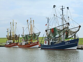 Kutterhafen Dorum-Neufeld