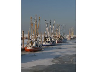 Hafen Dorum-Neufeld