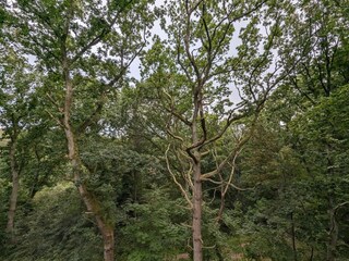 Maison de vacances Als  5