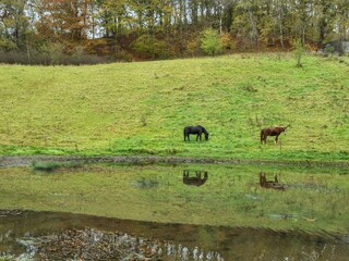 Ferienhaus Ebeltoft  19