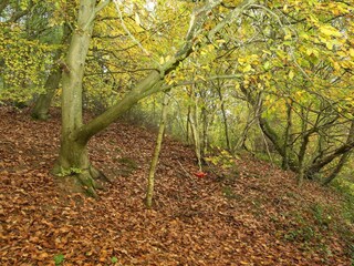 Casa per le vacanze Ebeltoft  3