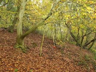 Holiday house Ebeltoft  3