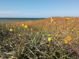 Casa per le vacanze Harboøre  18