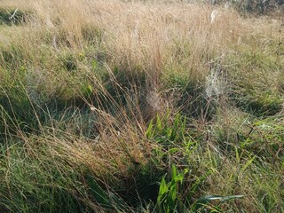 Holiday house Ferring  25