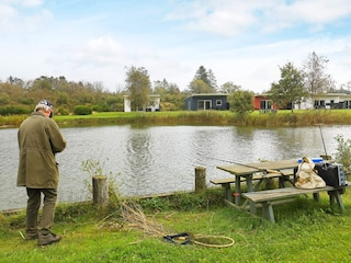 Ferienhaus Ringkøbing  24