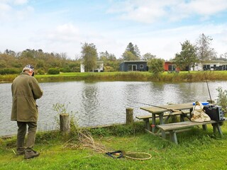 Casa per le vacanze Ringkøbing  4