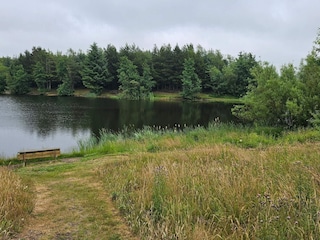 Casa per le vacanze Ringkøbing  22