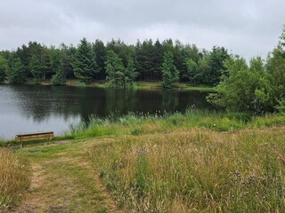 Casa per le vacanze Ringkøbing  4