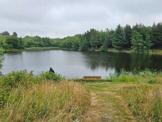 Casa de vacaciones Ringkøbing  12