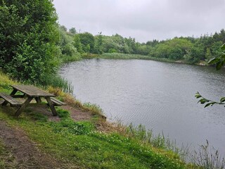 Vakantiehuis Ringkøbing  16