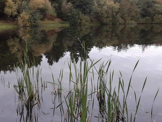Vakantiehuis Ringkøbing  6