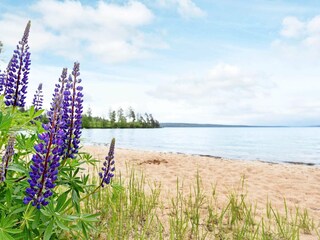Vakantiehuis Älgåna  10