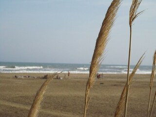 Blick auf den Strand