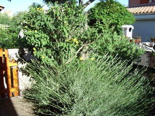 Holiday house Gruissan Environment 2