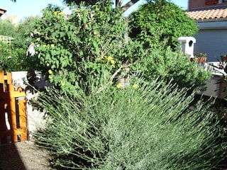 Vakantiehuis Gruissan Omgeving 2