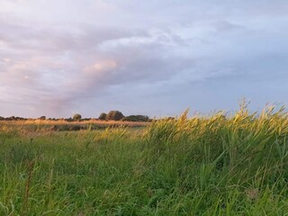 Maison de vacances Sydals  18