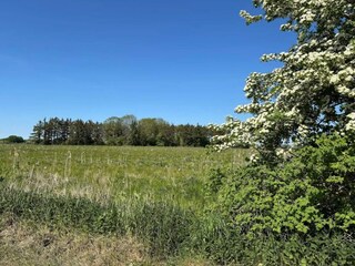 Maison de vacances Sydals  26