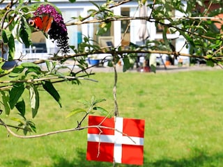 Vakantiehuis Aalbæk  6