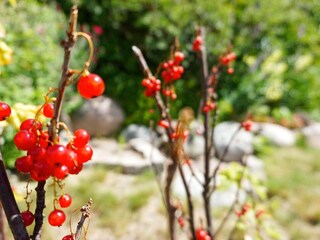 Maison de vacances Uddevalla  19